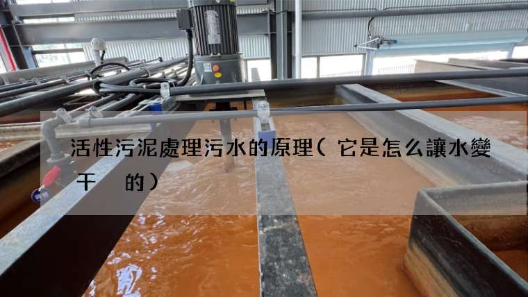 活性污泥處理污水的原理(它是怎么讓水變干凈的)
